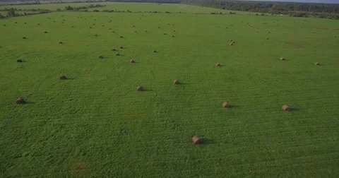 Huge field with hay bales, aerial pan Stock Footage