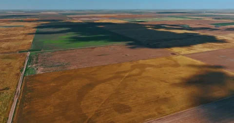 Huge field looking like a patchwork quilt. Stock Footage 278737277