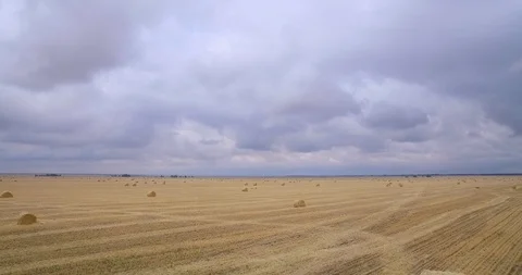A huge field of mowed grass 動画素材 96689444