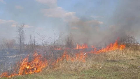 Huge fire. dry grass fire near rural homes. Burning forest and dead trees Stock-Footage 74132334