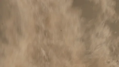 Huge fire flames Video stock 140771358