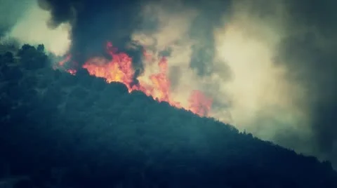 Huge Flames From Forest Fire Stock Footage 11257562