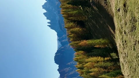 Huge forest area, in the center of large mountain ranges. Stock Footage 225724094