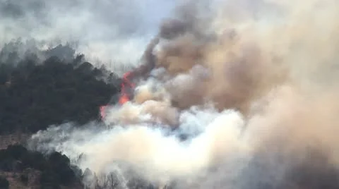 Huge Forest Fire Burning on the Mountain Stock Footage 11257525