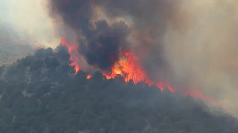 Huge Forest Fire Burning Trees on Mountain Stock Footage 11257437