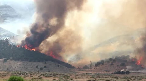 Huge Forest Fire Wide Shot Stock Footage 11257237