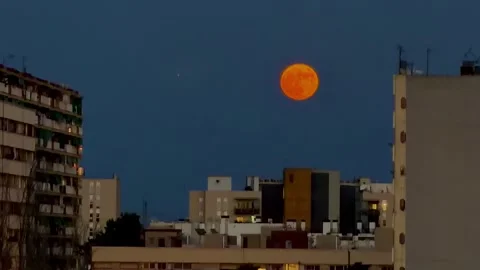 Huge full moon of orange color rising over the night city and residential bu Vídeo Stock 337960146