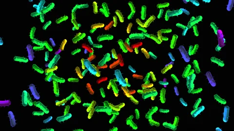 Huge Germs Bacteria Virus Floating around Stock-Footage 132713569