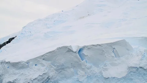 Huge glacier in Antarctica 2 Stock Footage 88285803