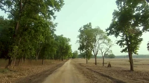 Huge grasslands Stock Footage 205071756