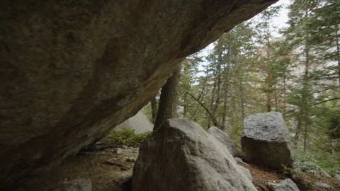 Huge grey rocks in the pine forest, Salt Lake City, US Stock Footage 288333349