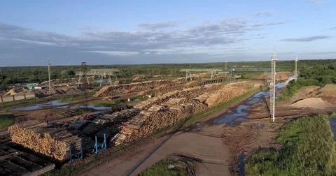 A huge ground for logging Stock Footage 78769382