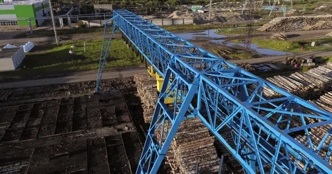 A huge ground for logging Stock Footage 78771371