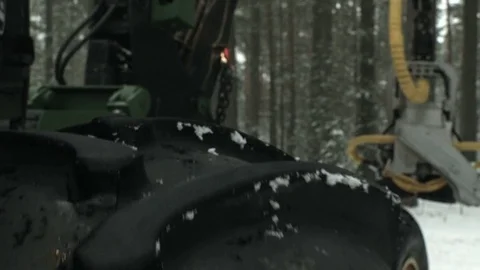 The huge harvester in a forest cutting tree on pieces Stock Footage 69966641