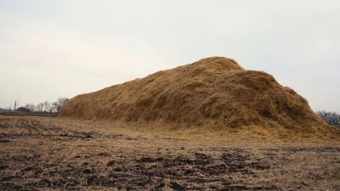 A huge haystack lies on the ground Stockbeeldmateriaal 146181439