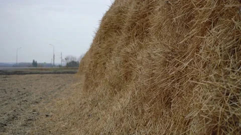 Huge haystack lying on the ground Stock Footage 142388972