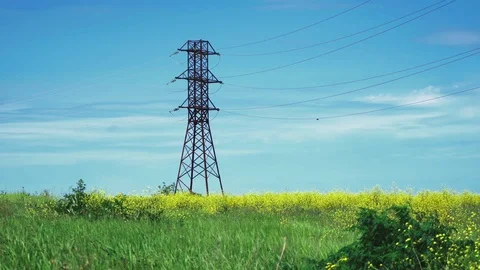 Huge high voltage electric pylon in a green field with yellow flowers Stock Footage 108345261