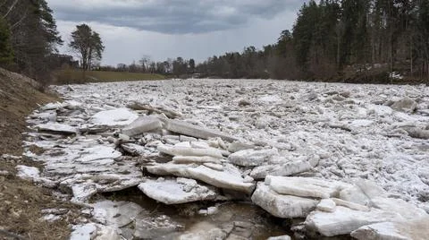 Huge Ice Loads Drift in the River Ogre, Latvia. Congestion on the River in th 库存照片
