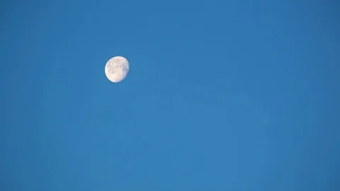 Huge illuminated moon on background blue boundless sky Stock-Footage 101753416
