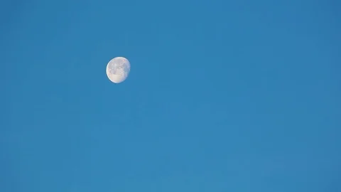 Huge illuminated moon moves on background blue boundless sky Video stock 101753403