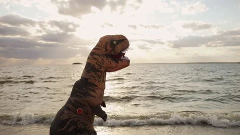 Huge inflatable dinosaur with person inside is walking on sea beach at sunset. Stock Footage 142704095