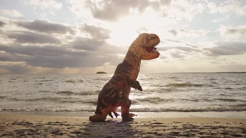 Huge inflatable dinosaur with person inside is walking on sea beach at sunset. Stock Footage 142775663