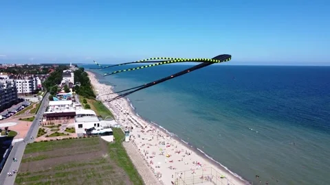 A huge kite in the form of an octopus soars over the beach Stock Footage 201065906