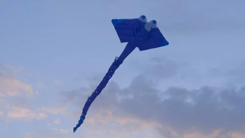 Huge kite in sunset sky Video stock 174963896