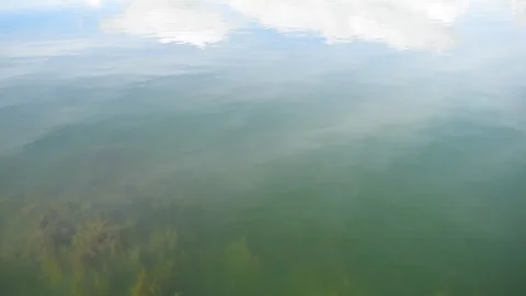 Huge lagoon with distant mountain with forest Stock Footage 273837898