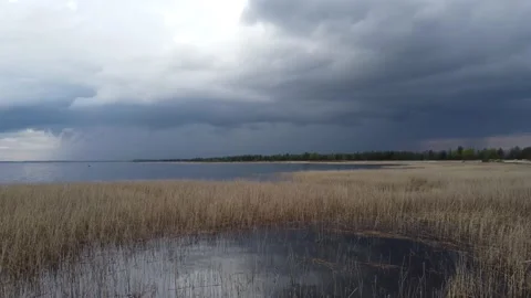 Huge lake with dramatic thunder clouds and dry water grass in front Stock-Footage 154825585