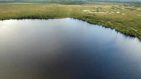 Huge Lake in the Forest Stock Footage 184106156