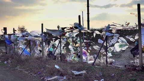 Huge landfill with plastic bags against sunset Stock Footage
