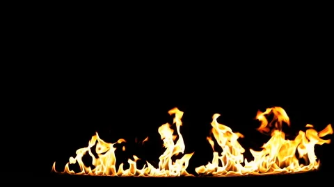 Huge line of flames rising from lower edge and swelling up by wind. Real Fire Stock Footage 142064401