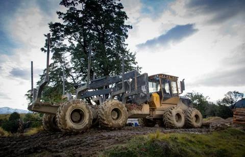 A huge logging machine at a forestry site Stock Photos
