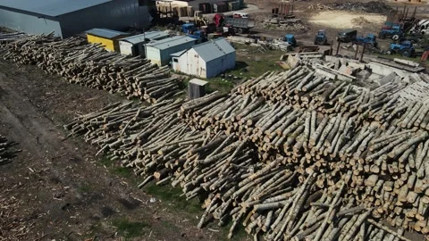 Huge lumber yard. 4k drone footage Stock Footage 212966329