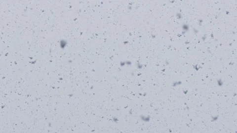 Huge lumps of snow are falling from the sky Stock Footage 240215116