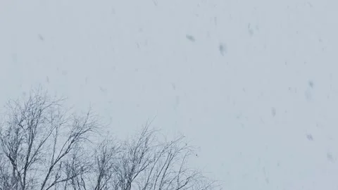 Huge lumps of snow are falling from the sky and birds flying Stock Footage 240975580