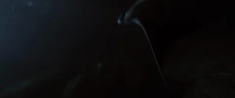 Huge Manta Rays at Night shot on RED Stock-Footage 125915532