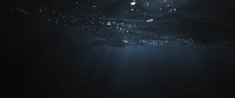 Huge Manta Rays at Night shot on RED Stock-Footage 125915540