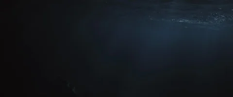 Huge Manta Rays at Night shot on RED Stock-Footage 125915573