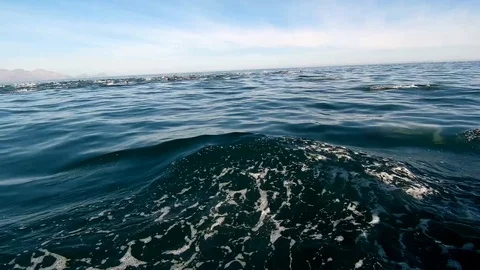 Huge Mega Pod of Common Dolphin jumping and playing in the ocean Stock Footage 92053285