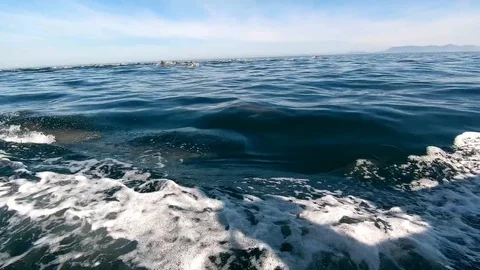 Huge Mega Pod of Common Dolphin jumping and playing in the ocean Stock Footage 92136878