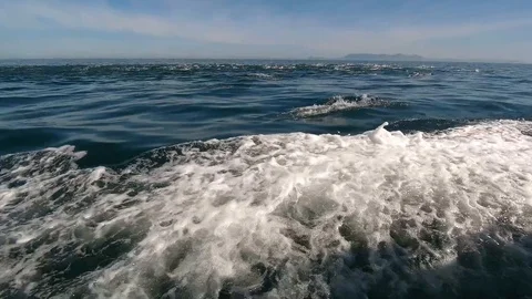 Huge Mega Pod of Common Dolphin jumping and playing in the ocean Video stock 92354549