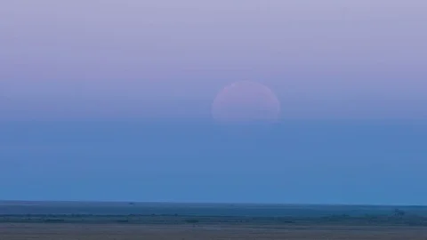 A huge moon. Sunset. The calm steppe. Two cranes fly by. Birds flying against Video stock 73802489