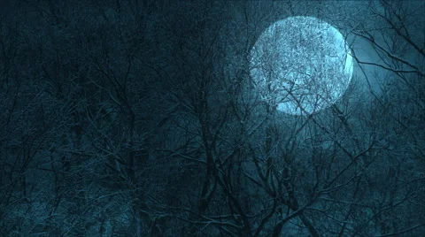 A huge moon through the trees over a precipice Stock Footage 58726799
