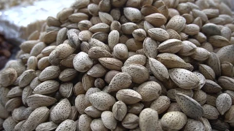 Huge Mountain of Raw Organic Almonds in Shells at Traditional Market Stock Footage 340480448
