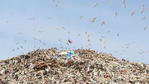Huge mountain of urban garbage Stock Footage 197630703
