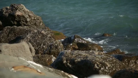 Huge Ocean Waves Smash Against The Rocks Stock Footage 80212244