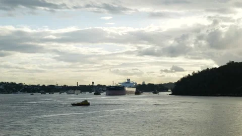 Huge Oil tanker escorted through Sydney Harbour 6K Video stock 309246535