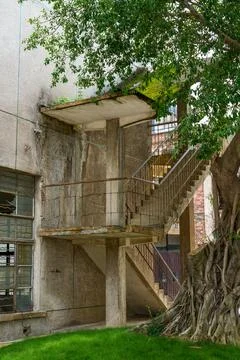Huge old banyan tree next to the exterior staircase of the old building Stock Photos